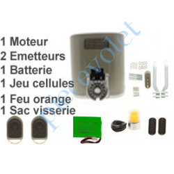 1216365 Elixo 500 3Sio Pack Conf 24v (1Mot,1Arm & 1Réc Int, 2ém 4cx,1J Cel 1Feu Av Ant Ss Crém)