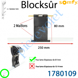 1780109 Verrou Automatique Blocksûr de 2 Maillons pour lame 8-9 mm