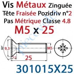 301015X25 Vis Métaux Tête Fraisée Pozidriv Zinguée 5 x 25 mm Classe 4.8 Din 965