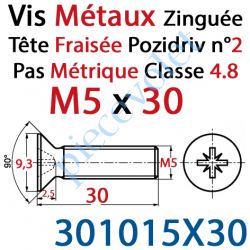 301015X30 Vis Métaux Tête Fraisée Pozidriv Zinguée 5 x 30 mm Classe 4.8 Din 965