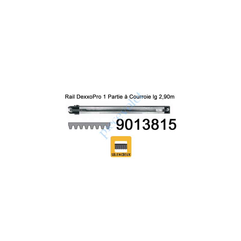 9013815 Rail Monobloc à Courroie 30 000 Cycles lg 2,90m pour Dexxo Pro