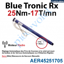 AER45251705 Moteur Cherubini 25/17 Blue Tronic Rx ø 45 sans Mds