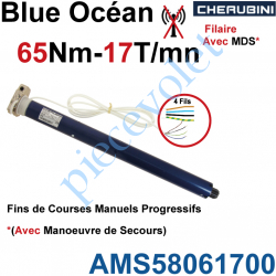 AMS58061700 Moteur Cherubini 65/17 Blue Océan ø 58 Avec Mds