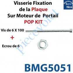 BMG5051 Vis 6 x 100 + Ecrou M6 Spider pour Fixation de la Plaque sur Moteur de Portail Nice Pop Kit