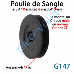 G147 Poulie ø Ext 100 mm Int 58 mm pr Sang 15 Max se monte sur Crabot Mâle ou Moyeu Crabot Zf