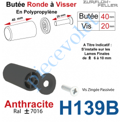 H139B Butée Ronde Coloris Gris Anthracite à Visser sur Lame Finale Longueur 40 mm Avec Rondelle et Vis Zinguée Lg 20mm