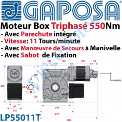 LP55011T Moteur Box LP55011T 550Nm 11 Tours Minute 400v Triphasé à Arbre Creux ø 40 Avec Parechute et MdS par Manivelle