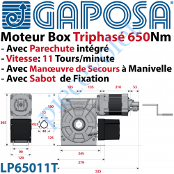 LP65011T Moteur Box LP65011T 650Nm 11 Tours Minute 400v Triphasé à Arbre Creux ø 40 Avec Parechute et MdS par Manivelle