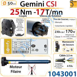 Moteur Somfy Gémini Csi  25/17 LT 50  Avec Mds