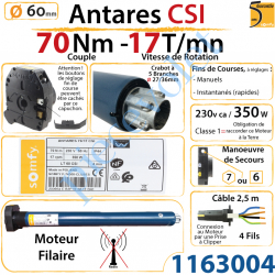 Moteur Somfy Antares Csi 70/17 LT 60  Avec Mds