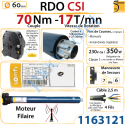 Moteur Rdo 60 Csi 70/17 Avec Mds Hexa 7 & Carré 6 mm