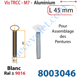 Vis TRCC 7x45 Aluminium Laqué Blanc ± Ral 9016