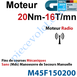 Moteur Geiger Radio 20/16 Avec FdC Electroniques &...