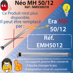 Moteur Nice Filaire Néo MH 50/12 MH Avec Mds