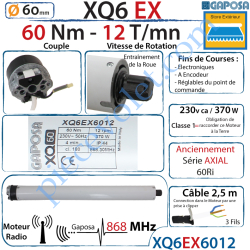 Moteur Radio 868 Mhz 60/12 XQ6EX Fins de Courses...