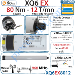 Moteur Radio 868 Mhz 80/12 XQ6EX Fins de Courses...