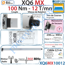 Moteur Radio 868 Mhz 100/12 XQ6MX Fins de Courses...