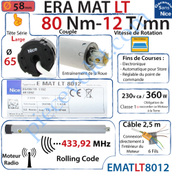 Moteur Nice Radio Era Mat LT 80/12 Av FdC Electro &...