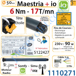 Moteur Maestria+ 6/17 io LT 50