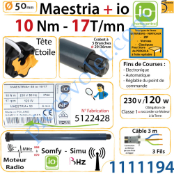 Moteur Maestria+ 10/17 io LT 50