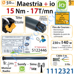 Moteur Maestria+ 15/17 io LT 50