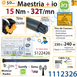 Moteur Maestria+ 15/32 io LT 50